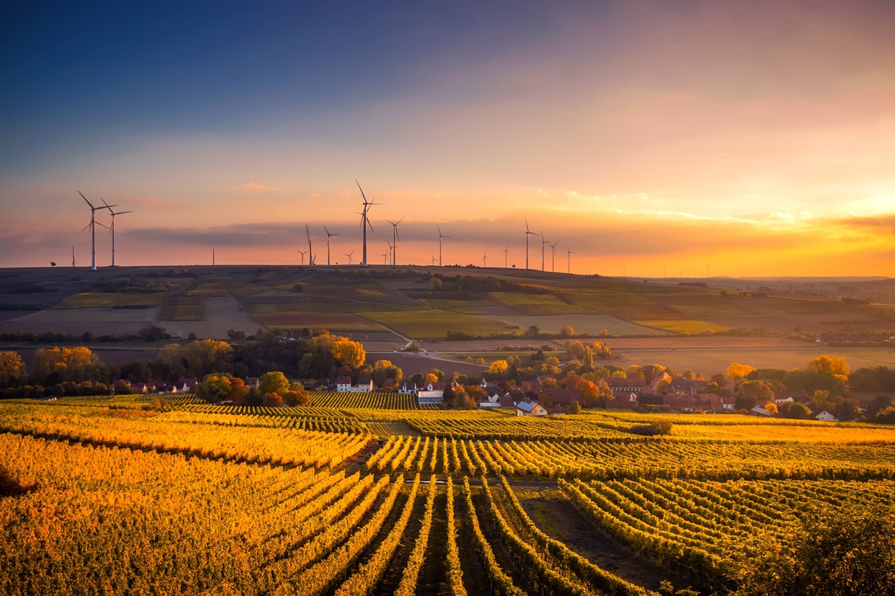 a large farm during sunset